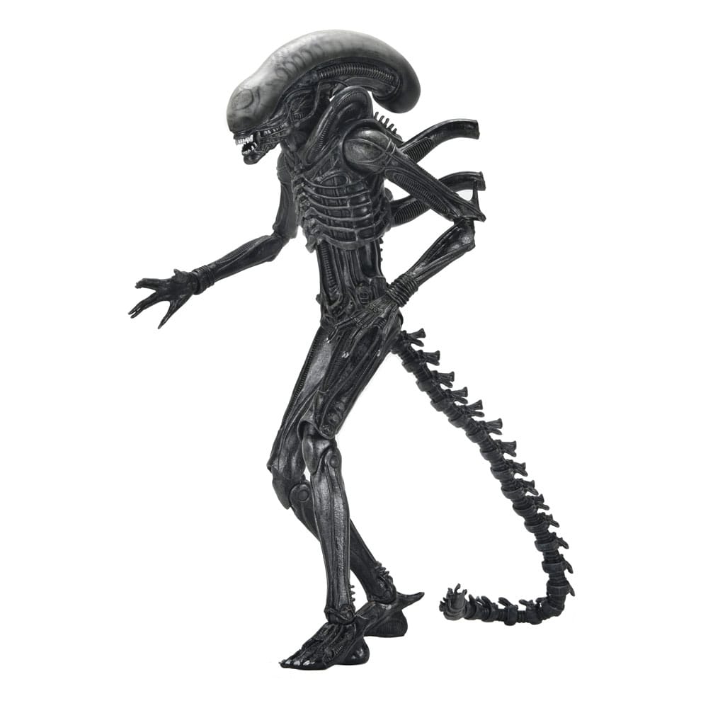 NECA Alien: Romulus Action Figure Ultimate Xenomorph XX121 18 cm